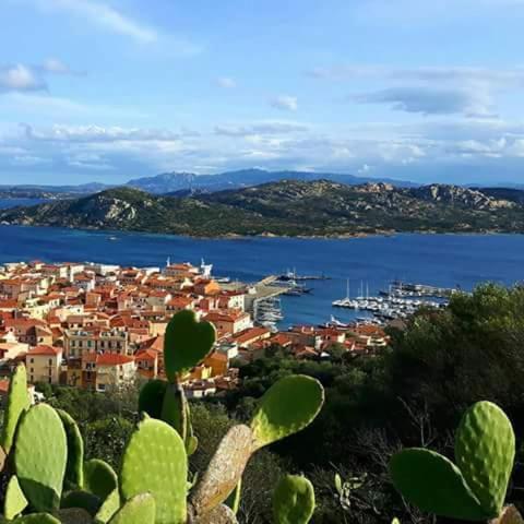 Sweet Home La Maddalena La Maddalena  Exterior photo